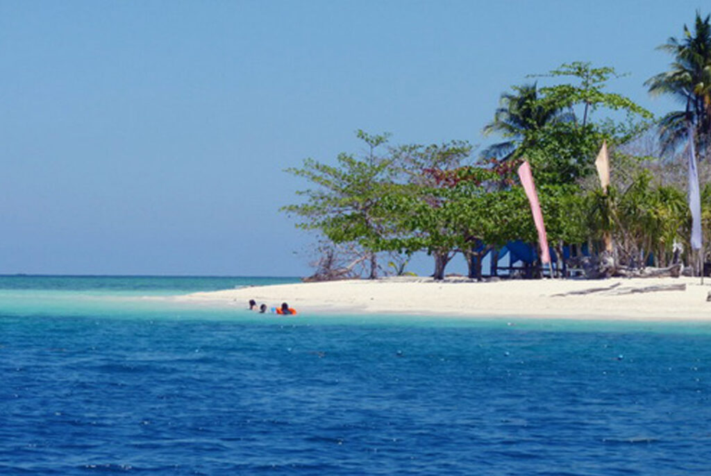 Honda Bay Island Hopping Tour